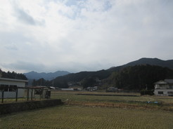 IMG_1880.JPG