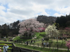 IMG_2163.JPG